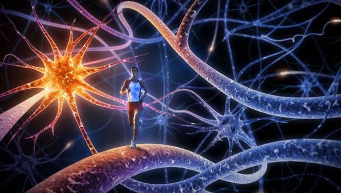 آیا این پیش فرضهای ان ال پی در همه جا کاربردی است؟