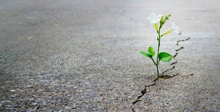 How to create motivation for a lifetime