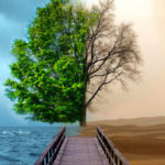 How to use the opportunities for becoming wealthy?