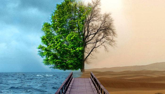 How to use the opportunities for becoming wealthy? How to use the opportunities for becoming wealthy?