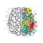 How is human logic formed and how can it be changed? human logic
