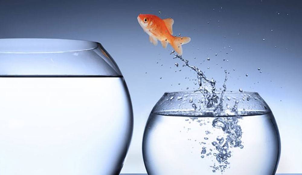 Changes in life