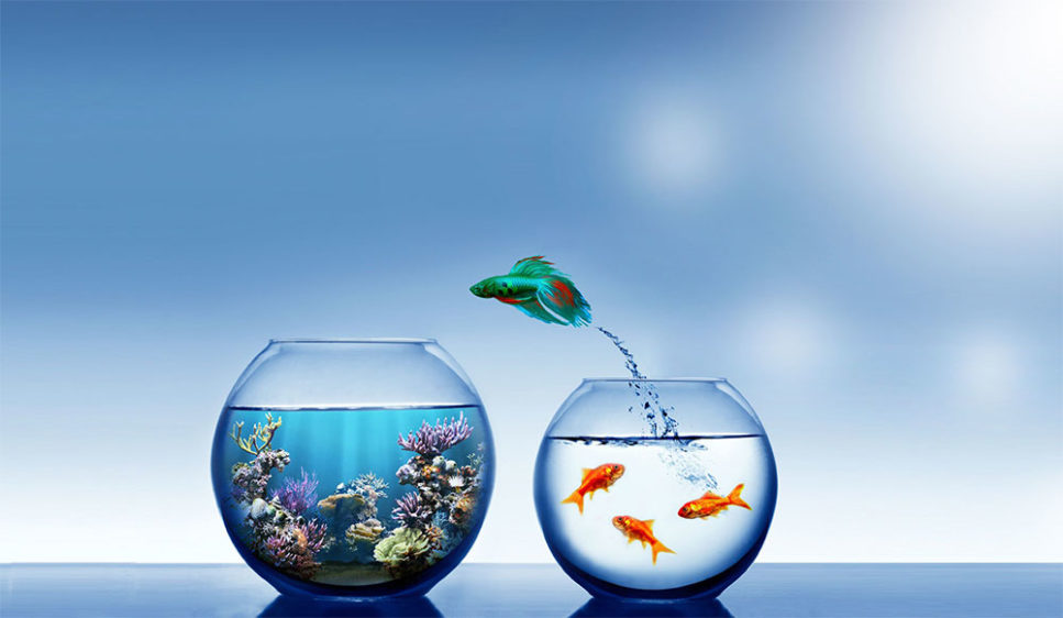 انعطافپذیری