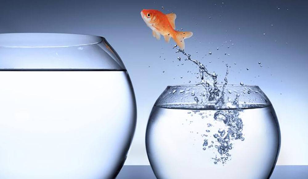 How does flexibility help us change the situation? flexibility