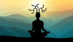 How do the body and mind affect each other? body and mind
