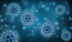 What is a mental virus and how can it be eliminated by NLP? mental virus